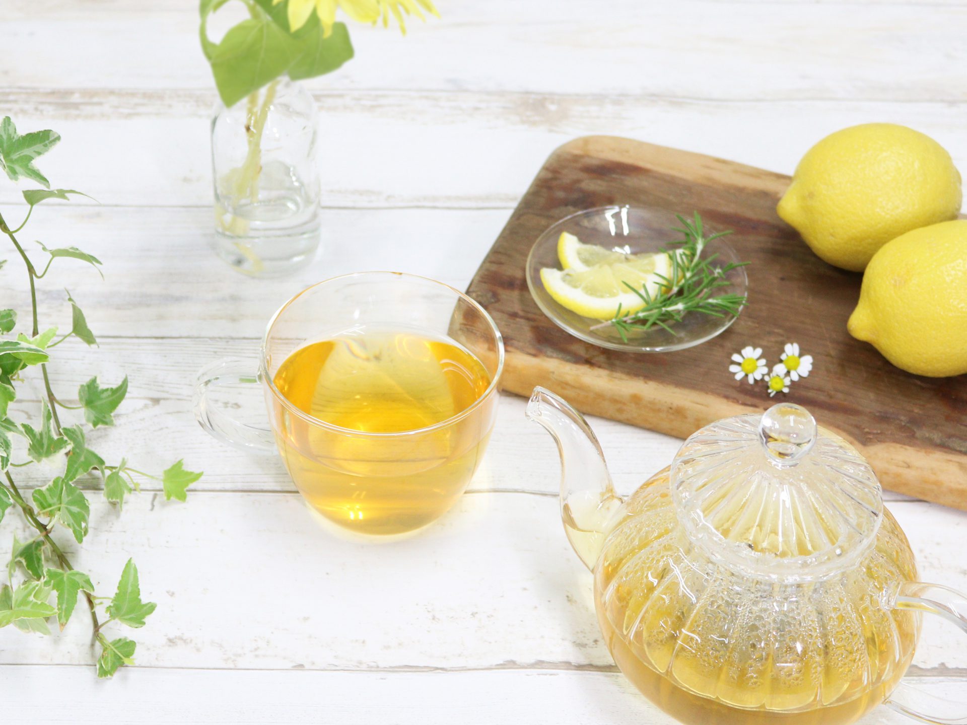 3種のレモンハーブ(大袋) - 和のハーブティー お花茶